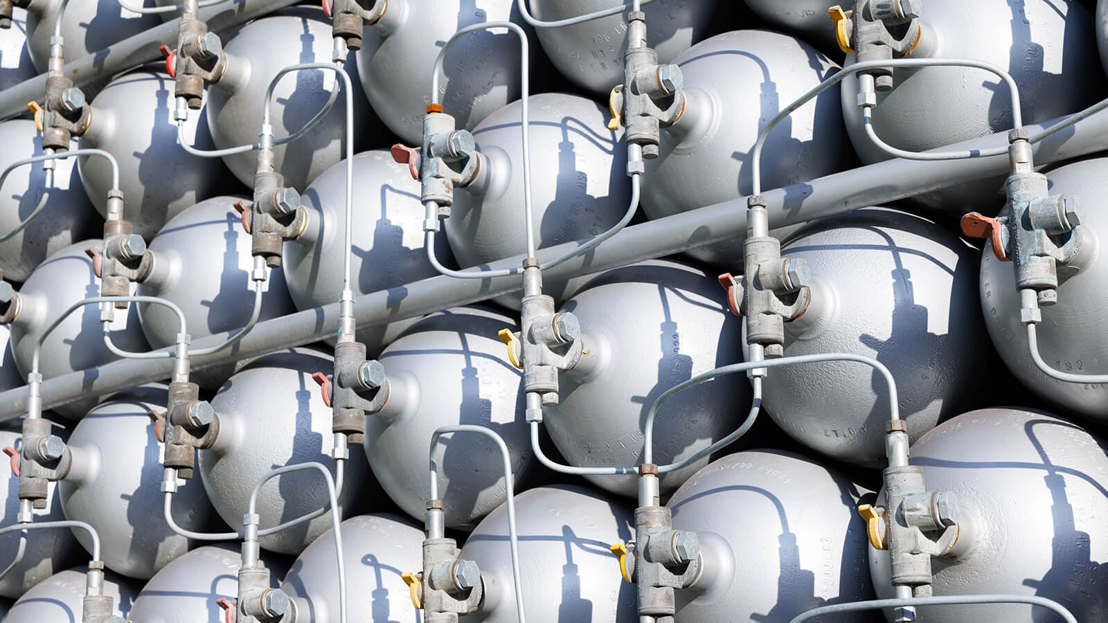 Verjat paints - Fossile